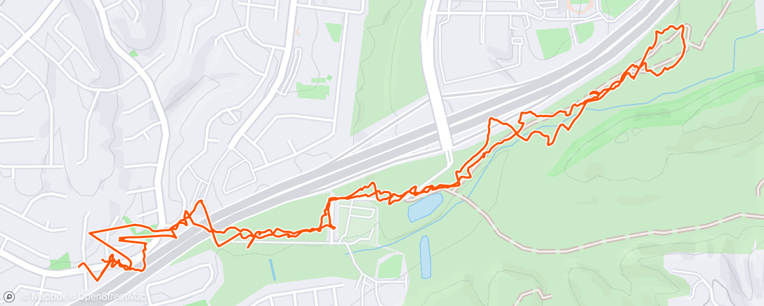 Map of the activity, Afternoon walk