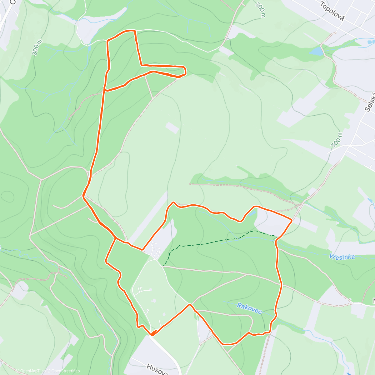 Карта физической активности (Kopečková zmrzlina)