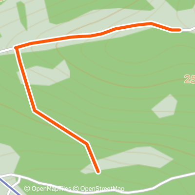 Sparkle Trees | 0.4 mi Backcountry Skiing Route on Strava
