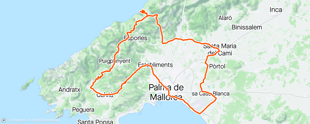 Map of the activity, Malla #2