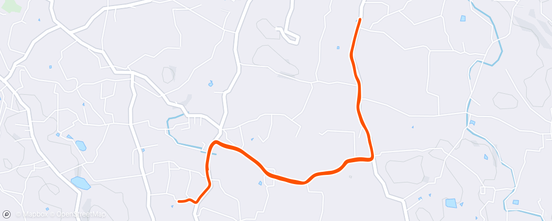 Map of the activity, Morning Run