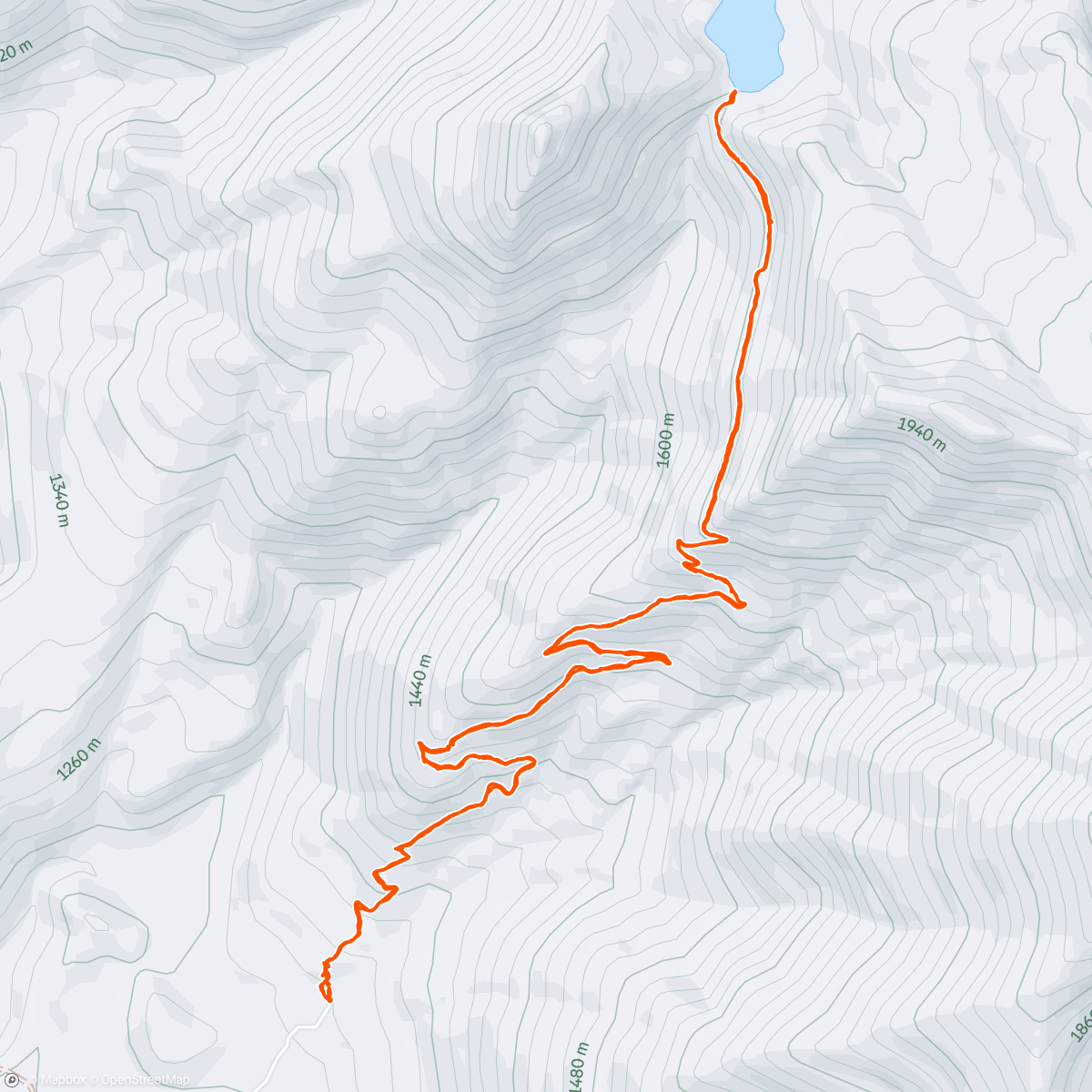 Map of the activity, Strawberry