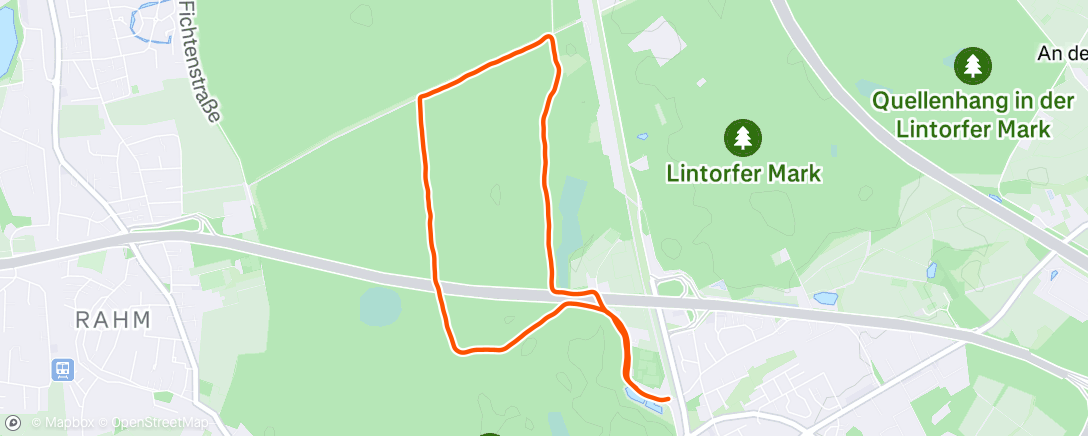 Map of the activity, Morning Run