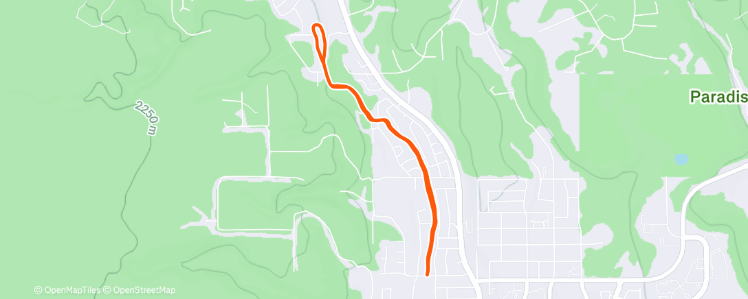 Mapa de la actividad (Morning Run)