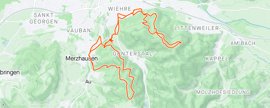 Map of the activity, Bike Ride day 3 of 5 🤩 Freiburg