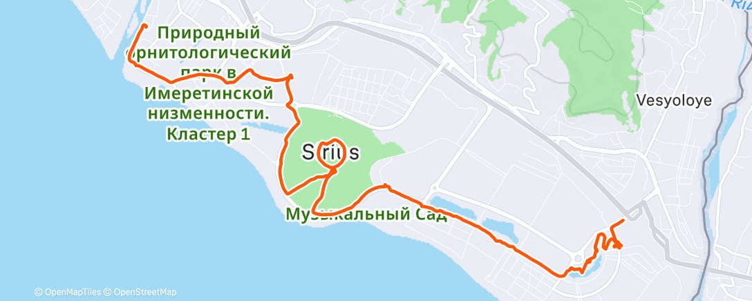 Map of the activity, Дневная прогулка