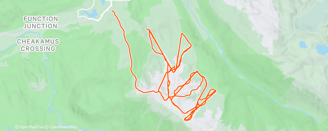 Карта физической активности (Whistler)