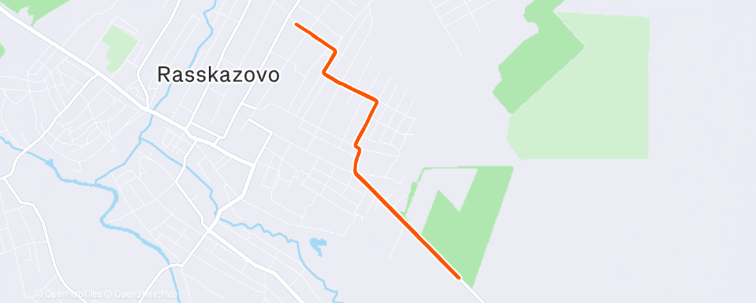 Карта физической активности (Дневной забег)