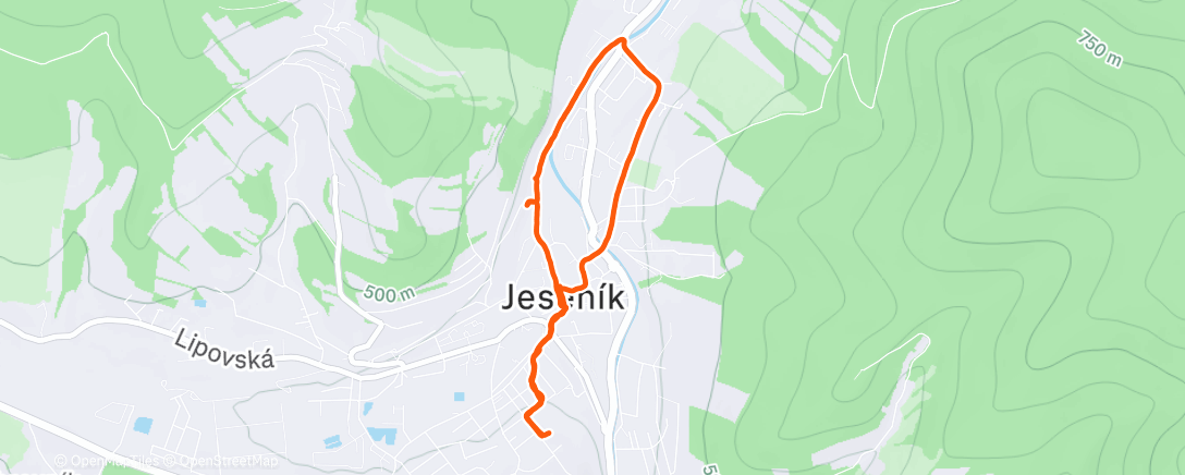 Карта физической активности (Afternoon Walk)