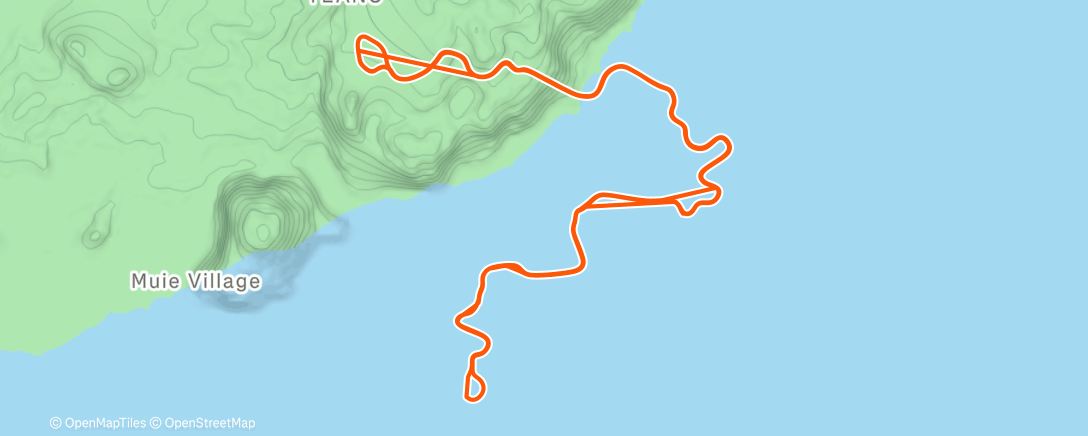 Map of the activity, Zwift - Watopia mit Basti