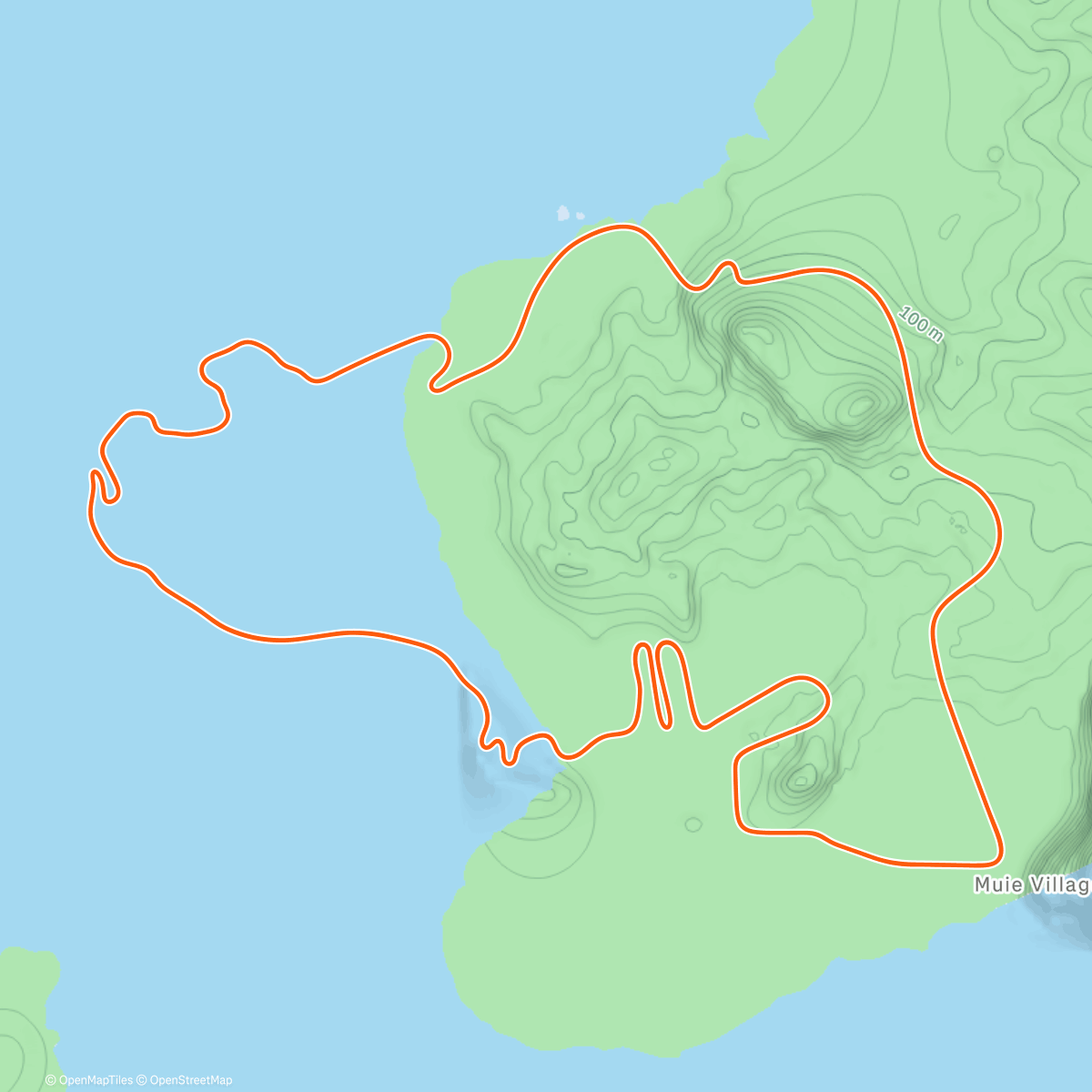 Map of the activity, Zwift - 140W 90 min on Volcano Flat in Watopia