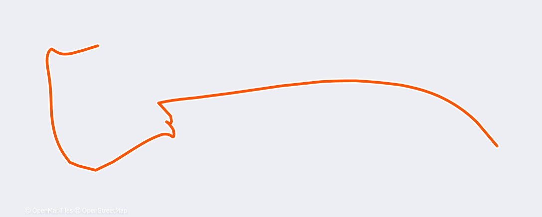 Карта физической активности (Morning Swim)