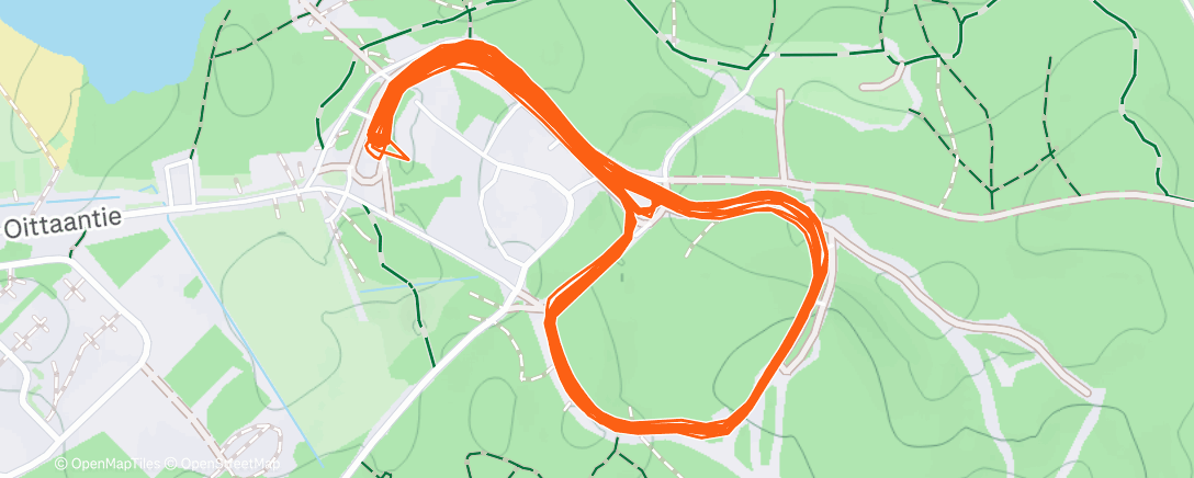 Карта физической активности (Afternoon Nordic Ski)