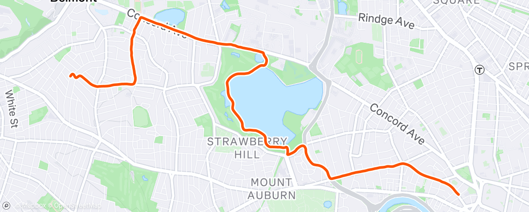 Map of the activity, Evening Ride