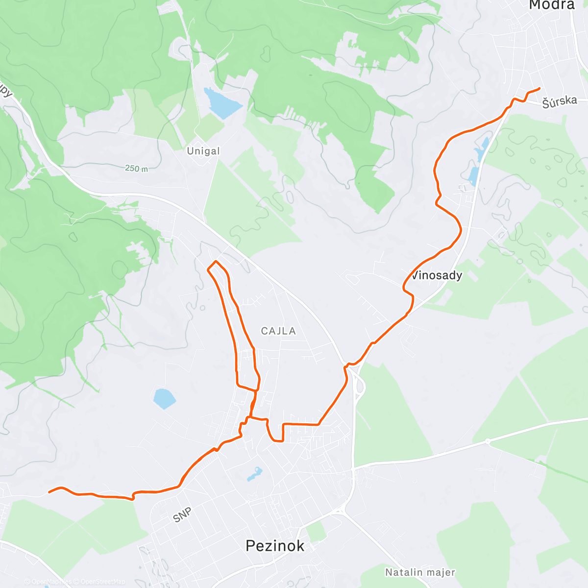 Карта физической активности (Vyvenčiť švagra)