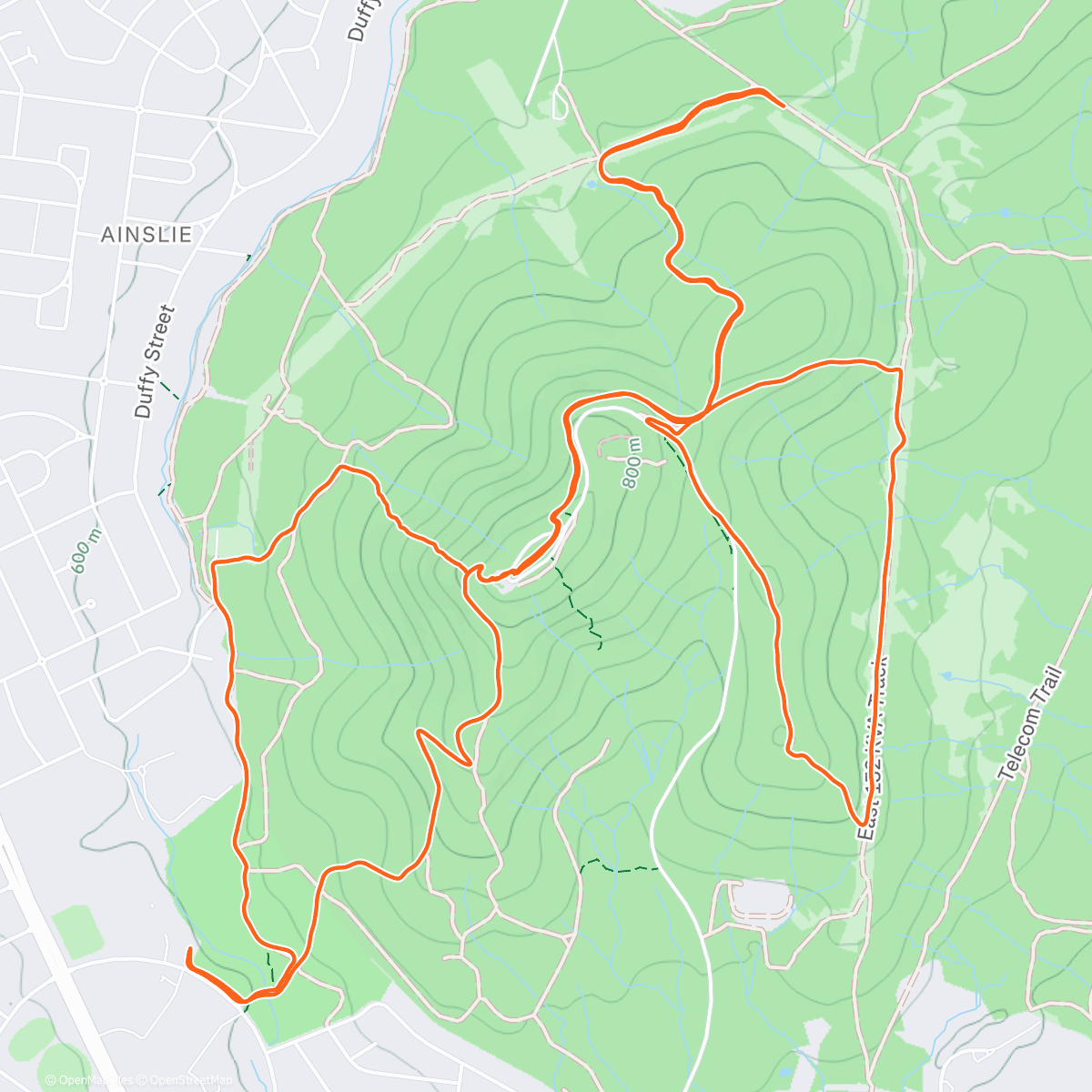 Карта физической активности (Afternoon Trail Run)