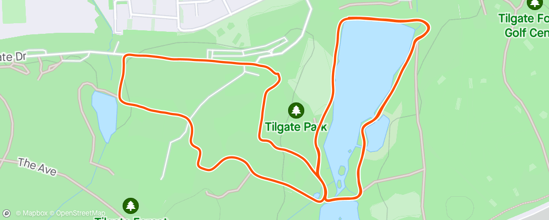 「Tilgate Parkrun」活動的地圖