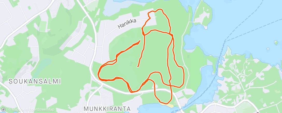 アクティビティ「Vappukävely」の地図