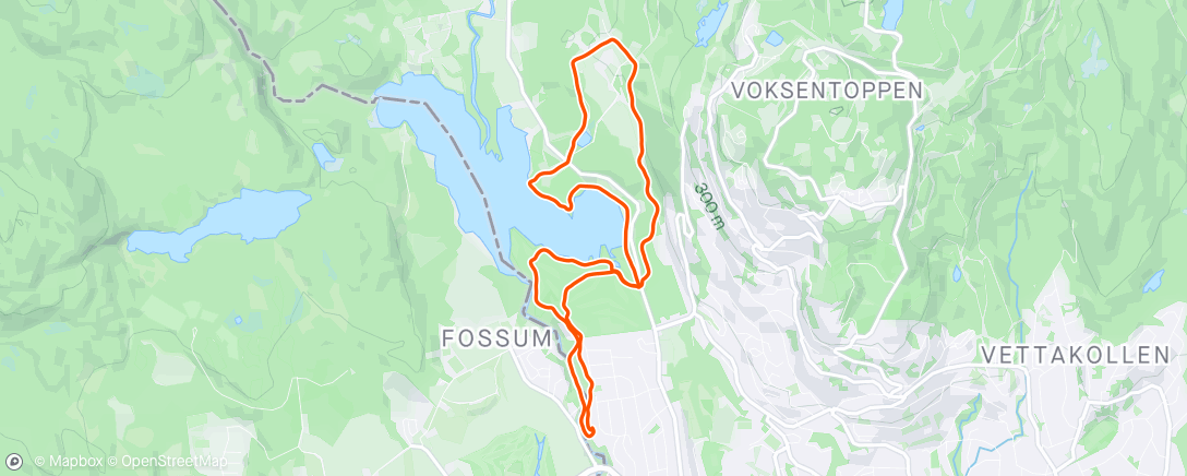 Map of the activity, Forts. forslått hofte, men greit