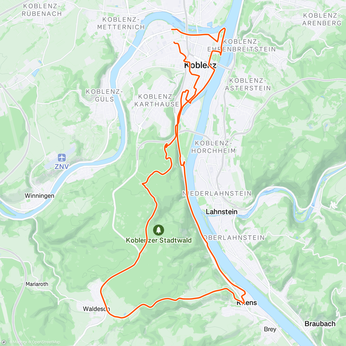 Map of the activity, Wald sehen
