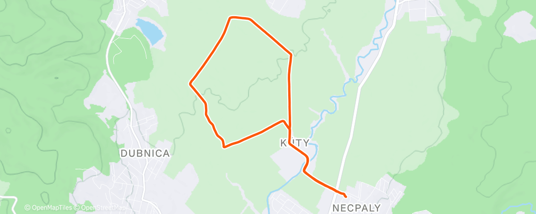 Карта физической активности (Afternoon Trail Run)