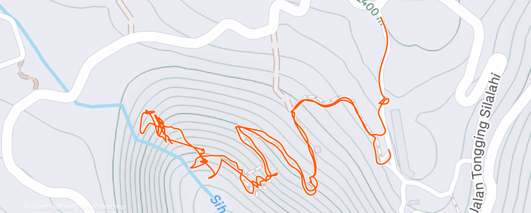 Карта физической активности (Morning Walk)