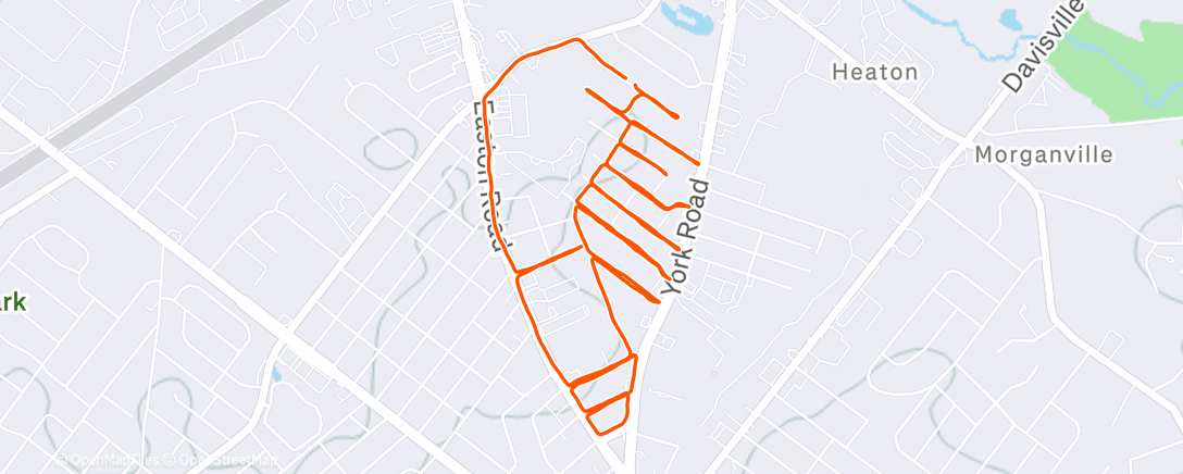 Map of the activity, Morning Run