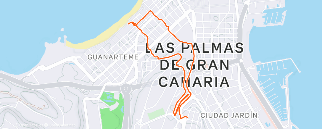 Карта физической активности (Salille)