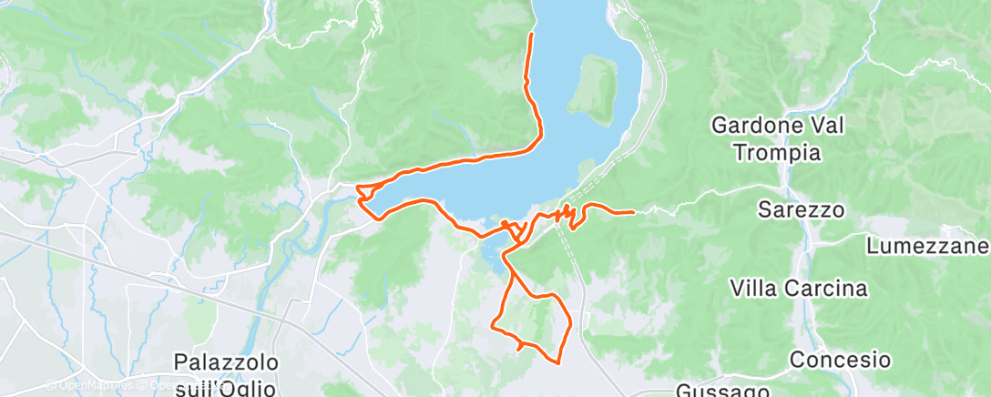 Map of the activity, forza neuro