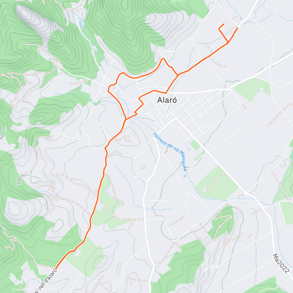 Карта физической активности (Morning Run)