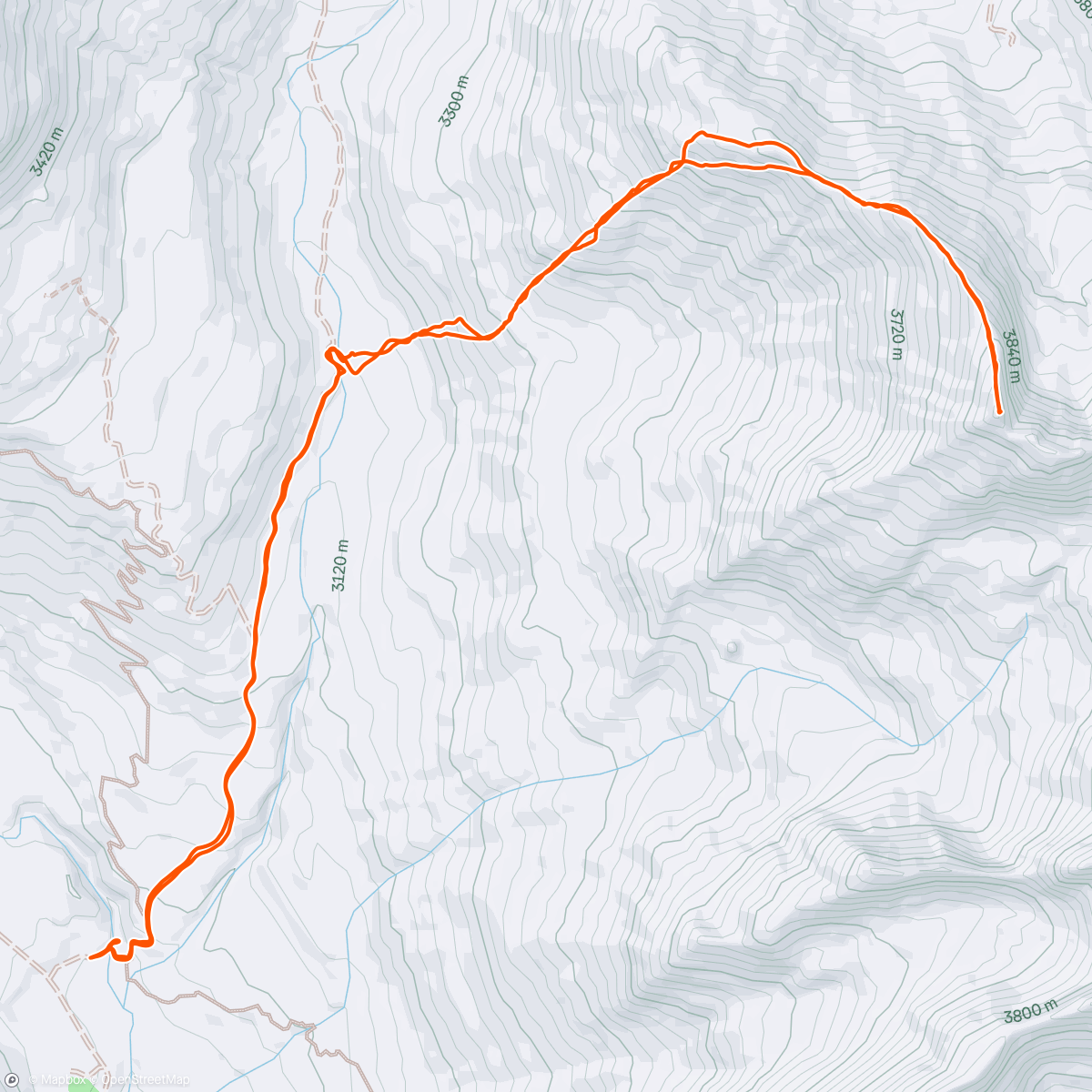Map of the activity, Dorothy