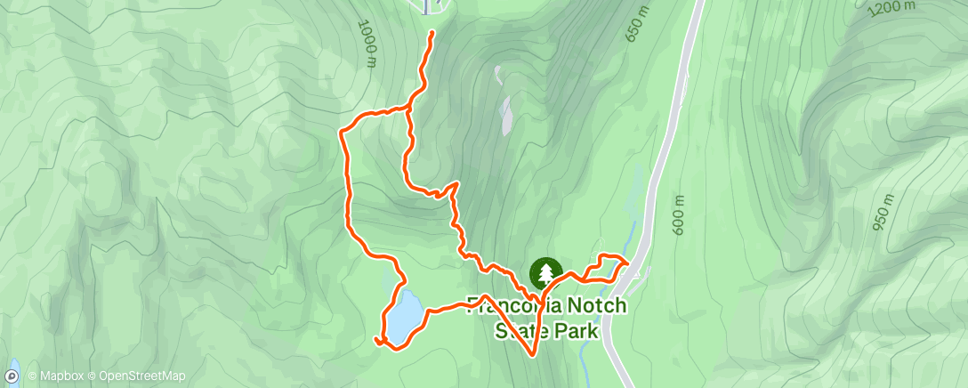 Map of the activity, Morning Hike