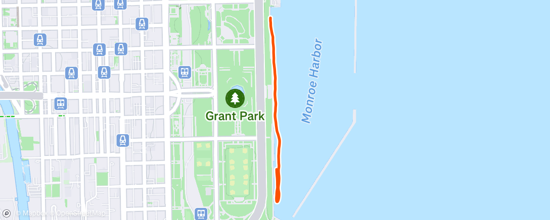 Map of the activity, Chicago Triathlon 2025 Swim