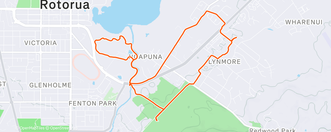 Map of the activity, Morning Run