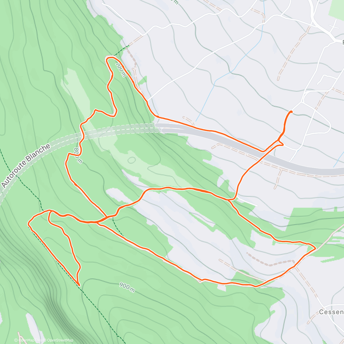 Map of the activity, Morning trail run