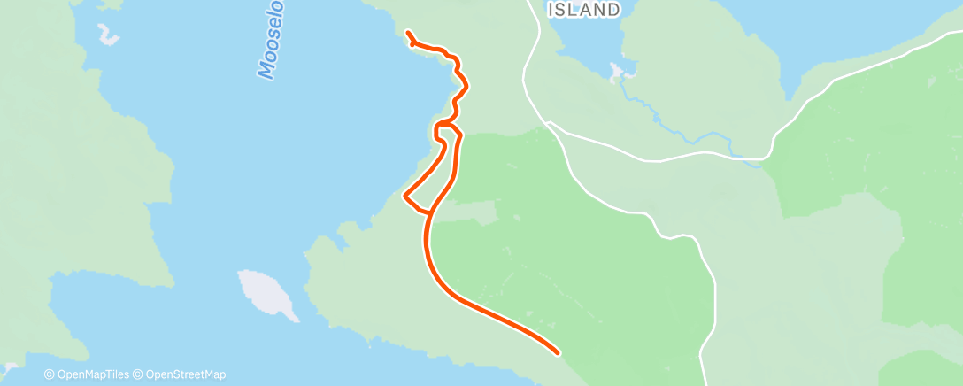 Карта физической активности (Lunch Trail Run)