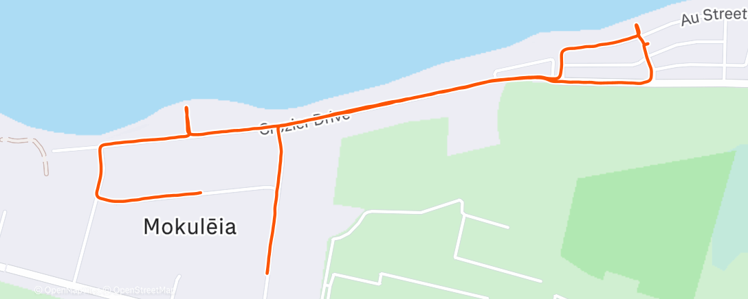 Map of the activity, Morning Run