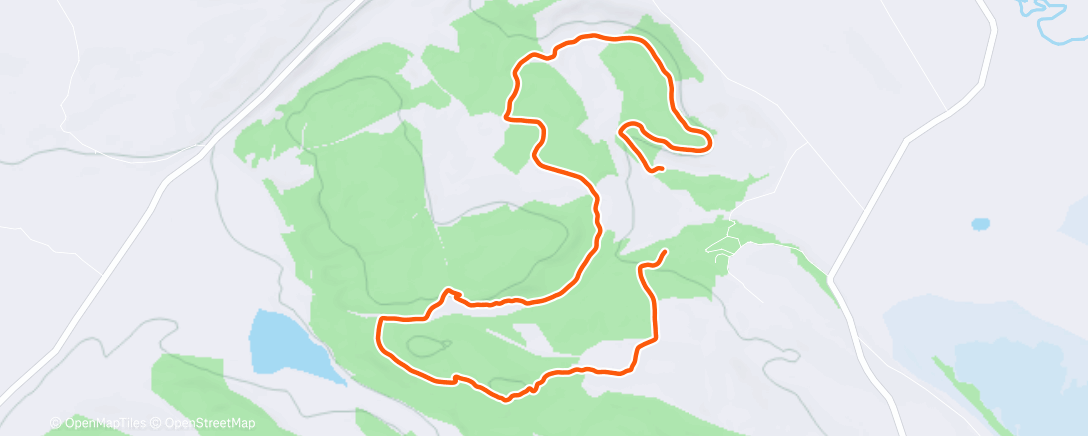 Map of the activity, Dog walk