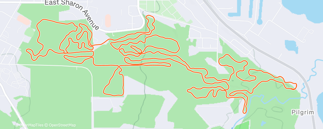 Map of the activity, Morning Nordic Ski