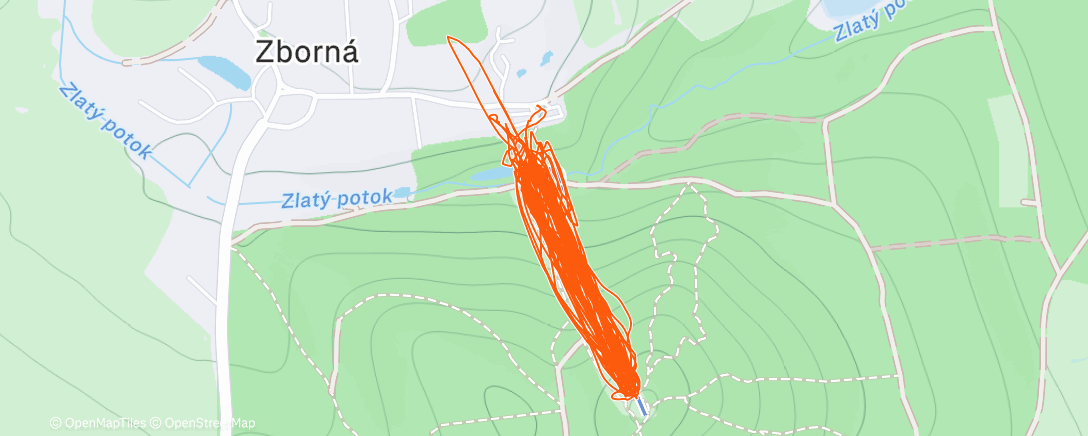 Map of the activity, Lunch Activity