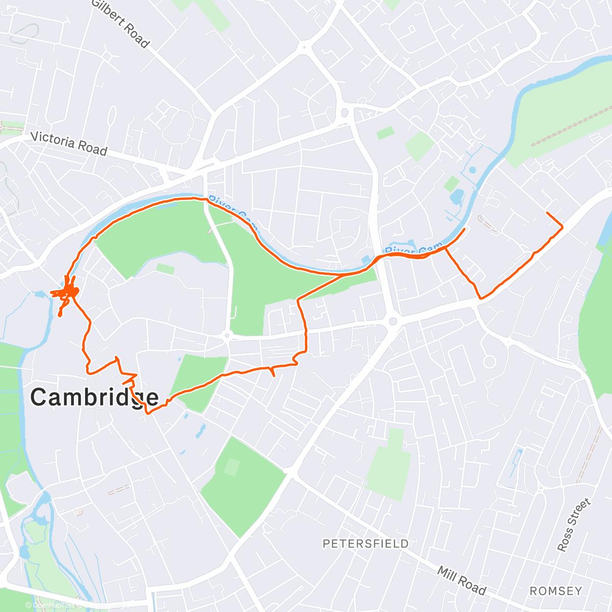 Карта физической активности (Shopping and...)