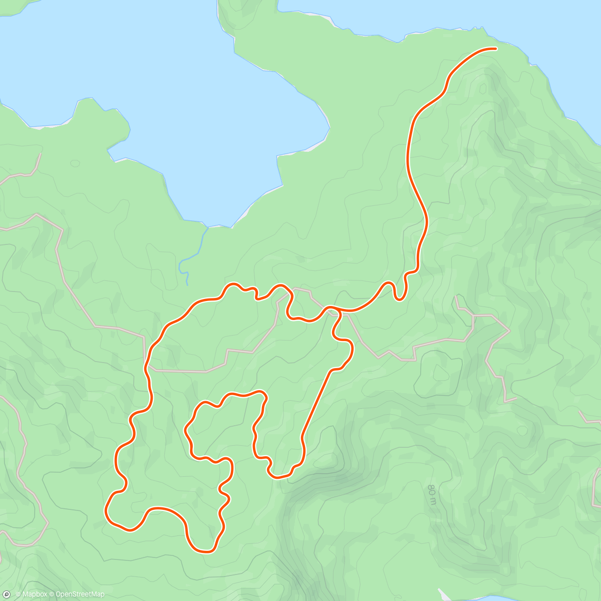 Map of the activity, Zwift - 01. Sweet Spot Foundation [Lite] in Watopia