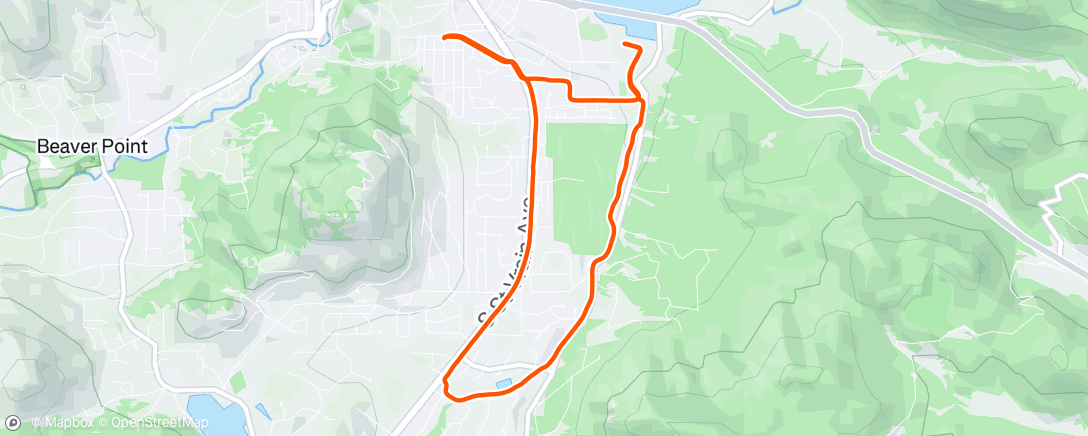 Map of the activity, Afternoon Run