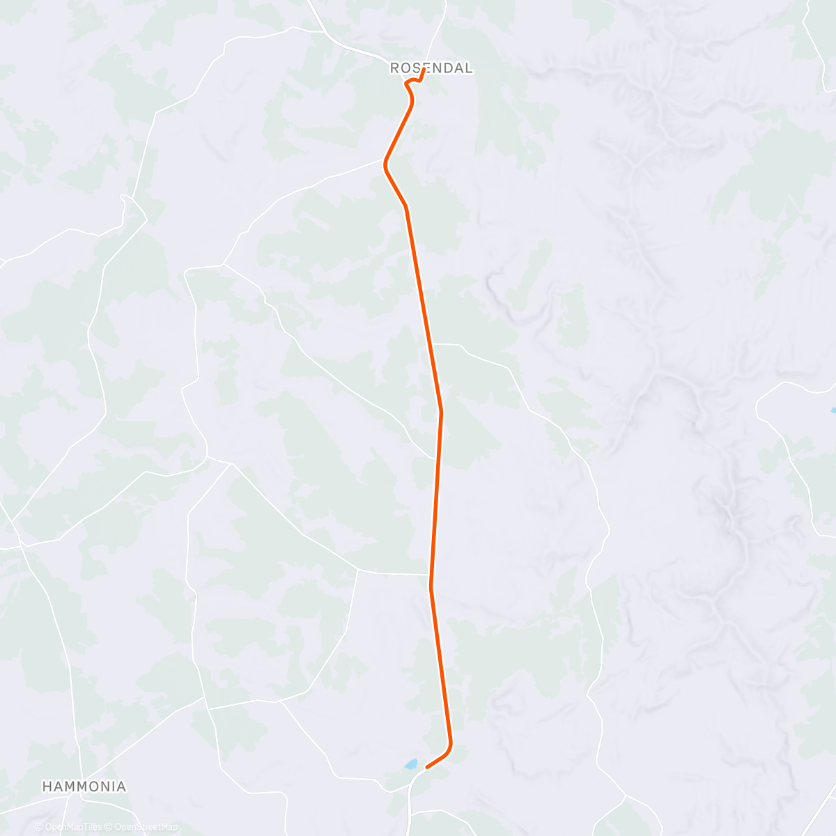 Map of the activity, Morning