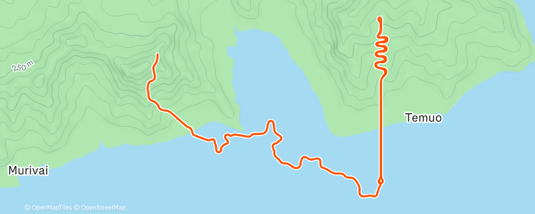 Карта физической активности (Zwift Irgendwas zwischen durch)