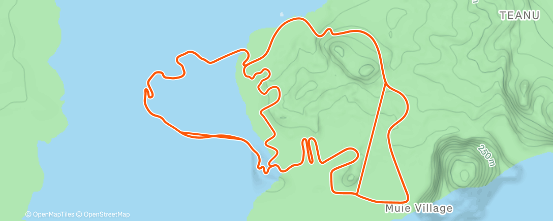 Карта физической активности (Wilde Fahrt 🚴🏼‍♂️🚴🏽‍♀️)