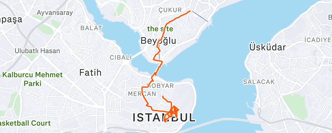 Карта физической активности (Istambul Walk)