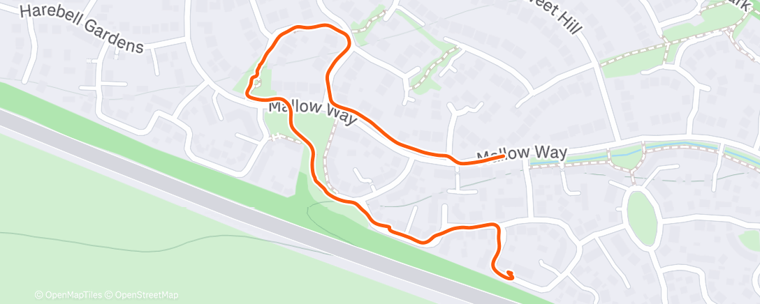Map of the activity, Morning Walk