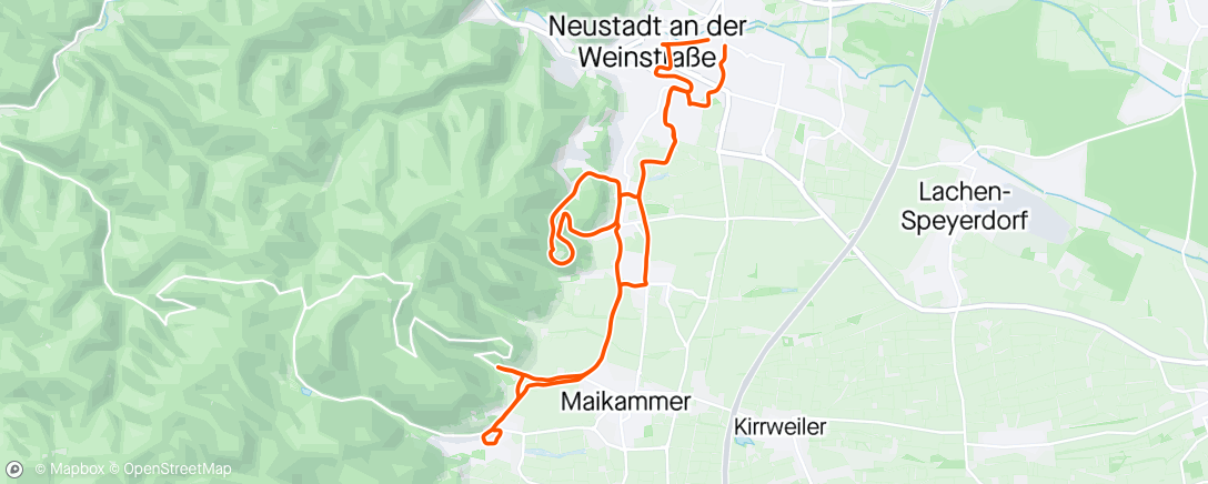 「Über Hammbacher Schloss nach St Martin」活動的地圖