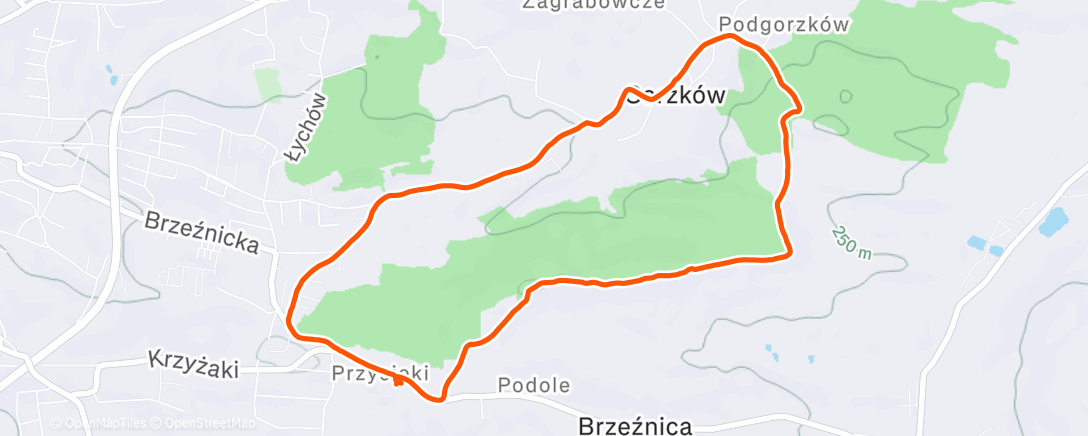 Map of the activity, Lunch Walk